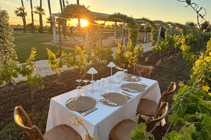 Cena al tramonto tra le vigne
