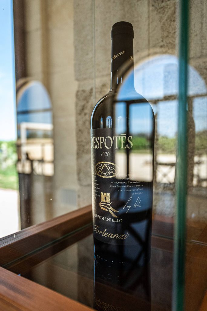Torleanzi Wine Experience – visita e degustazione di 3 vini – Masseria Torleanzi