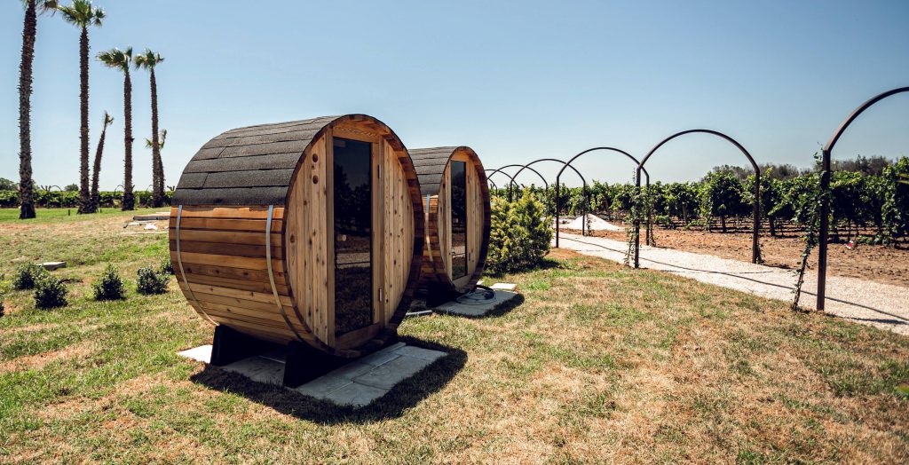 Sommelier Wine Experience – degustazione di 6 vini – Masseria Torleanzi