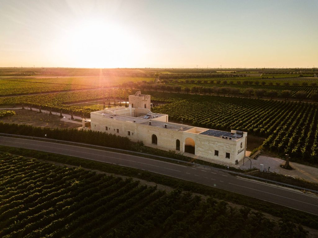 Torleanzi Wine Experience – visita e degustazione di 3 vini – Masseria Torleanzi