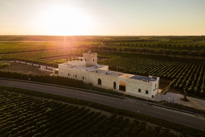 Torleanzi Wine Experience – visita e degustazione di 3 vini